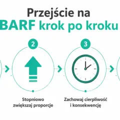 Przejście na BARF krok po kroku: małe porcje, stopniowe zwiększanie, cierpliwość i obserwacja reakcji kota.