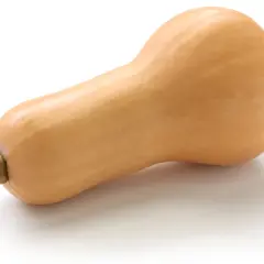 Pomarańczowa dynia typu butternut na białym tle. Czy można jeść surową dynię? Tak, niektóre odmiany, jak ta, są jadalne na surowo.