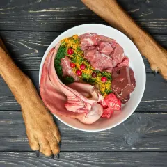 Miseczka z jedzeniem dla psa: surowe mięso, warzywa, owoce i wątróbka. Obok łapy psa.