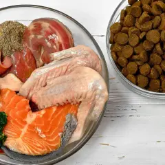 Miseczka z surowym mięsem, rybą, jajkami i warzywami, obok miska z karmą. Idealne domowe jedzenie dla chihuahua.