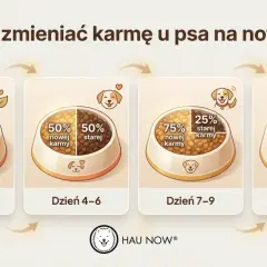 Schemat stopniowej zmiany karmy u psa: od 25% nowej karmy przez 50/50, aż do 100% nowej karmy.