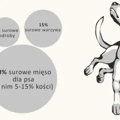 Schemat żywienia psa: 60% surowe mięso, 15% warzywa, 10% podroby, 10% dodatki, 5% owoce.