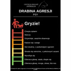 Drabina agresji u psa: od odwracania głowy po gryzienie. Wizualizacja postępujących zachowań.
