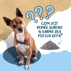 Zdezorientowany piesek patrzy na stertę popiołu surowego, zastanawiając się, czym jest w karmie dla zwierząt.