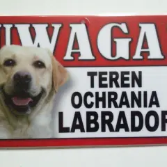 Tabliczka z napisem "UWAGA! TEREN OCHRANIA LABRADOR" i zdjęciem uśmiechniętego labradora.