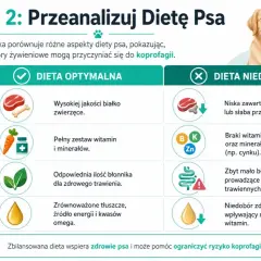 Niedobory żywieniowe, np. brak błonnika, mogą prowadzić do problemów trawiennych i koprofagii u psa. Zbilansowana dieta to klucz do zdrowia.