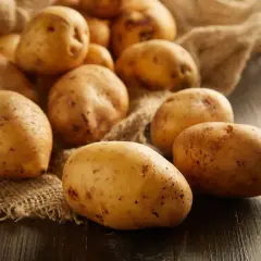 Ziemniaki na płótnie. Czy pies może jeść placki ziemniaczane? Surowe ziemniaki są bezpieczne, ale smażone placki nie są zalecane.