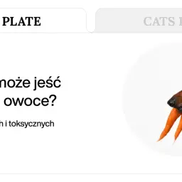 Jamnik z marchewką w pysku. Czy pies może jeść warzywa? Dowiedz się, co jest bezpieczne dla Twojego pupila.