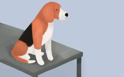 Smutny piesek siedzi na stole. Pewnie dlatego, że pies zjadł masło i teraz czeka na konsekwencje.