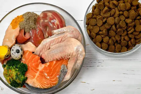 Miseczka z surowym mięsem, rybą, jajkami i warzywami, obok miska z karmą. Idealne domowe jedzenie dla chihuahua.