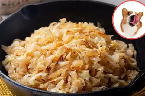 Czy pies może jeść bigos? Na zdjęciu bigos w garnku i piesek z językiem na wierzchu, jakby chciał spróbować.