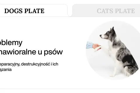 Problemy behawioralne u psów, takie jak lęk separacyjny i destrukcyjność, wymagają zrozumienia i rozwiązań.