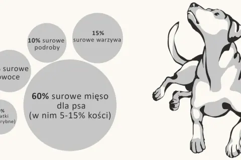 Schemat żywienia psa: 60% surowe mięso, 15% warzywa, 10% podroby, 10% dodatki, 5% owoce.