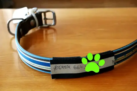 Adresówka dla psa: napis "Berek 654" na taśmie przyszytej do obroży. Zielona łapka.