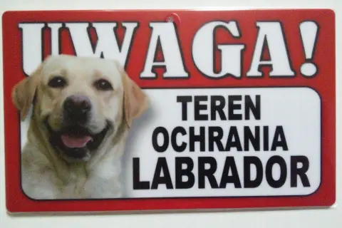 Tabliczka z napisem "UWAGA! TEREN OCHRANIA LABRADOR" i zdjęciem uśmiechniętego labradora.