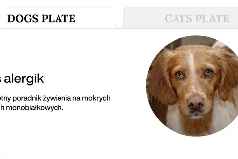 Pies alergik: poradnik żywienia na mokrych karmach monobiałkowych. Jaka karma dla psa z alergią skórną?