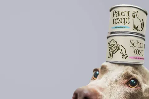 Pies z dwoma puszkami mokrej karmy dla psa na głowie. Jedna z nich to "Patent rezept Hypoallergen", druga "Schonkost Gastrointestinal".