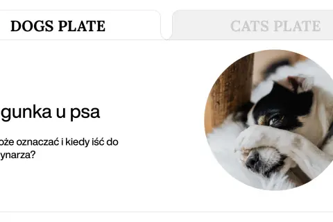 Smutny piesek z biegunką. Dowiedz się, co na biegunkę u szczeniaka i kiedy szukać pomocy weterynarza.