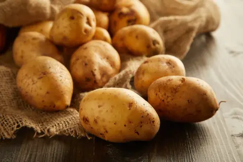 Ziemniaki na płótnie. Czy pies może jeść placki ziemniaczane? Surowe ziemniaki są bezpieczne, ale smażone placki nie są zalecane.