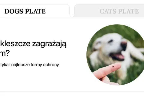 Kleszcz na palcu, w tle rozmyty pies. Dowiedz się, co na kleszcze dla psa jest najskuteczniejsze.