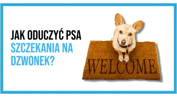 Mały piesek na wycieraczce "Welcome" sugeruje, że czas nauczyć go, by nie wymuszał szczekaniem na dzwonek.