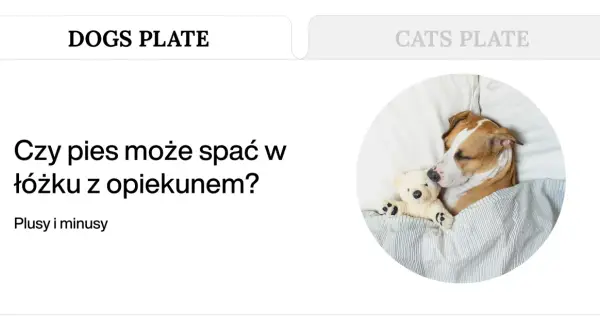 Piesek śpi wtulony w misia, pod kołdrą. Czy pies nie może znaleźć sobie miejsca w nocy, gdy śpi z opiekunem?