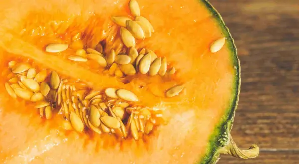 Przekrojony melon z pestkami. Czy pies może jeść melona? Tak, ale bez pestek i skórki.