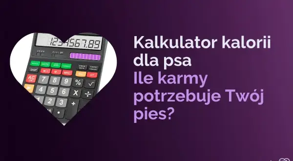 Kalkulator kalorii dla psa pomoże Ci obliczyć, ile suchej karmy dla psa potrzebuje Twój pupil.