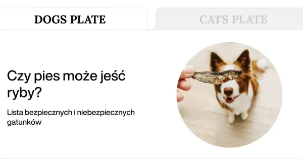 Pies patrzy z nadzieją na suszoną rybkę. Dowiedz się, jakie ryby dla psa są bezpieczne.