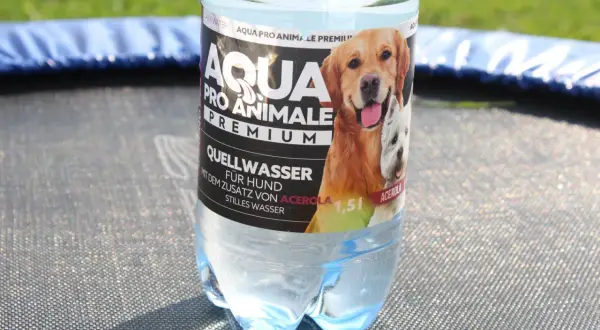 Woda mineralna dla psa? Ta butelka "Aqua Pro Animale Premium" z wizerunkiem golden retrievera i west highland white terriera sugeruje, że pies może pić wodę mineralną.