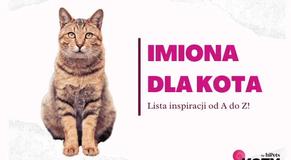 Kot pręgowany siedzi obok napisu "IMIONA DLA KOTA". Lista inspiracji od A do Z!