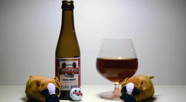 Dwa pluszowe pieski patrzą na butelkę piwa "Snuffle Dog Beer" i kieliszek. Czy pies może pić piwo? To piwo jest dla psów, 0% alkoholu.
