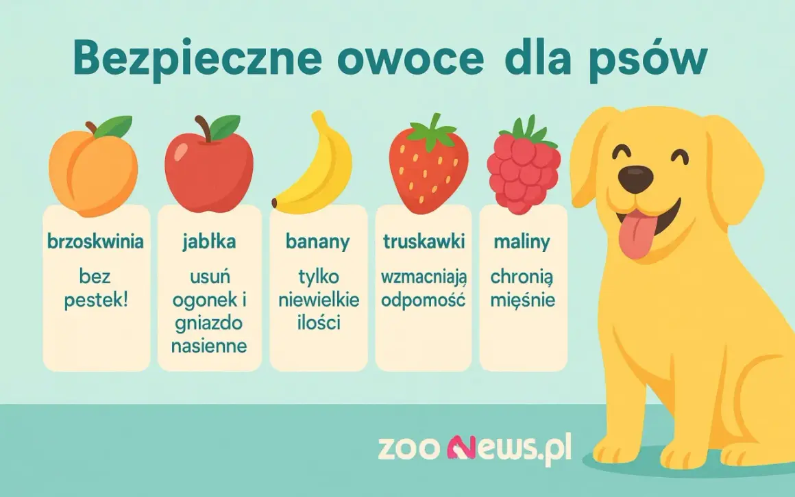 Bezpieczne owoce dla psów: brzoskwinie bez pestek, jabłka (bez gniazda), banany (w małych ilościach), truskawki i maliny.