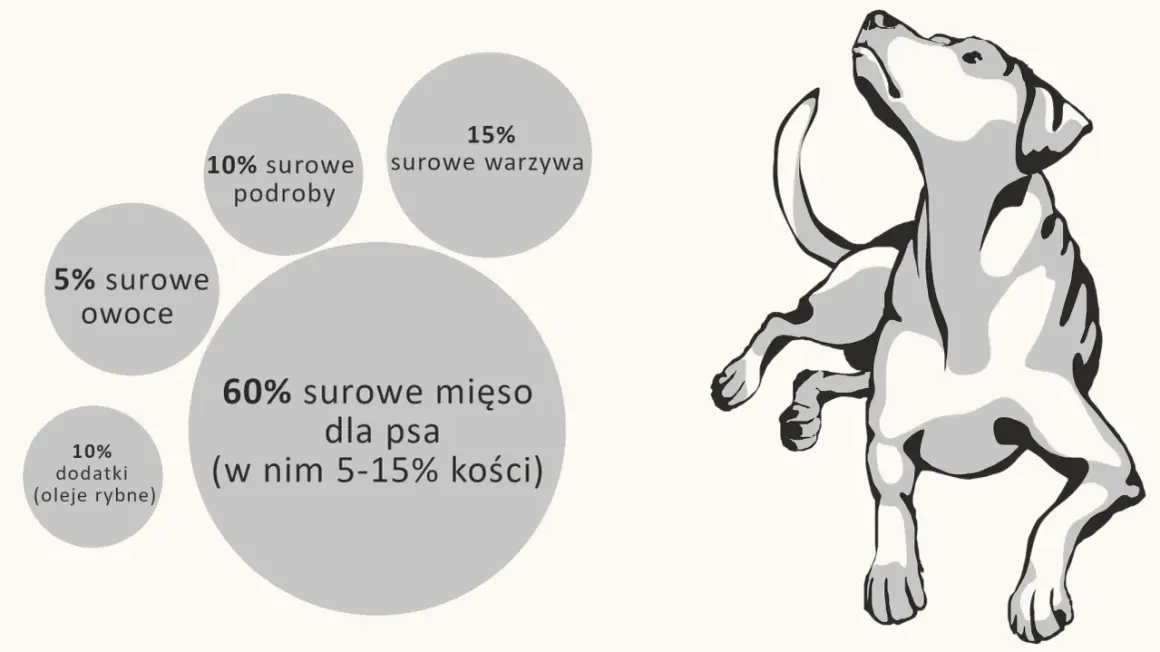 Schemat żywienia psa: 60% surowe mięso, 15% warzywa, 10% podroby, 10% dodatki, 5% owoce.