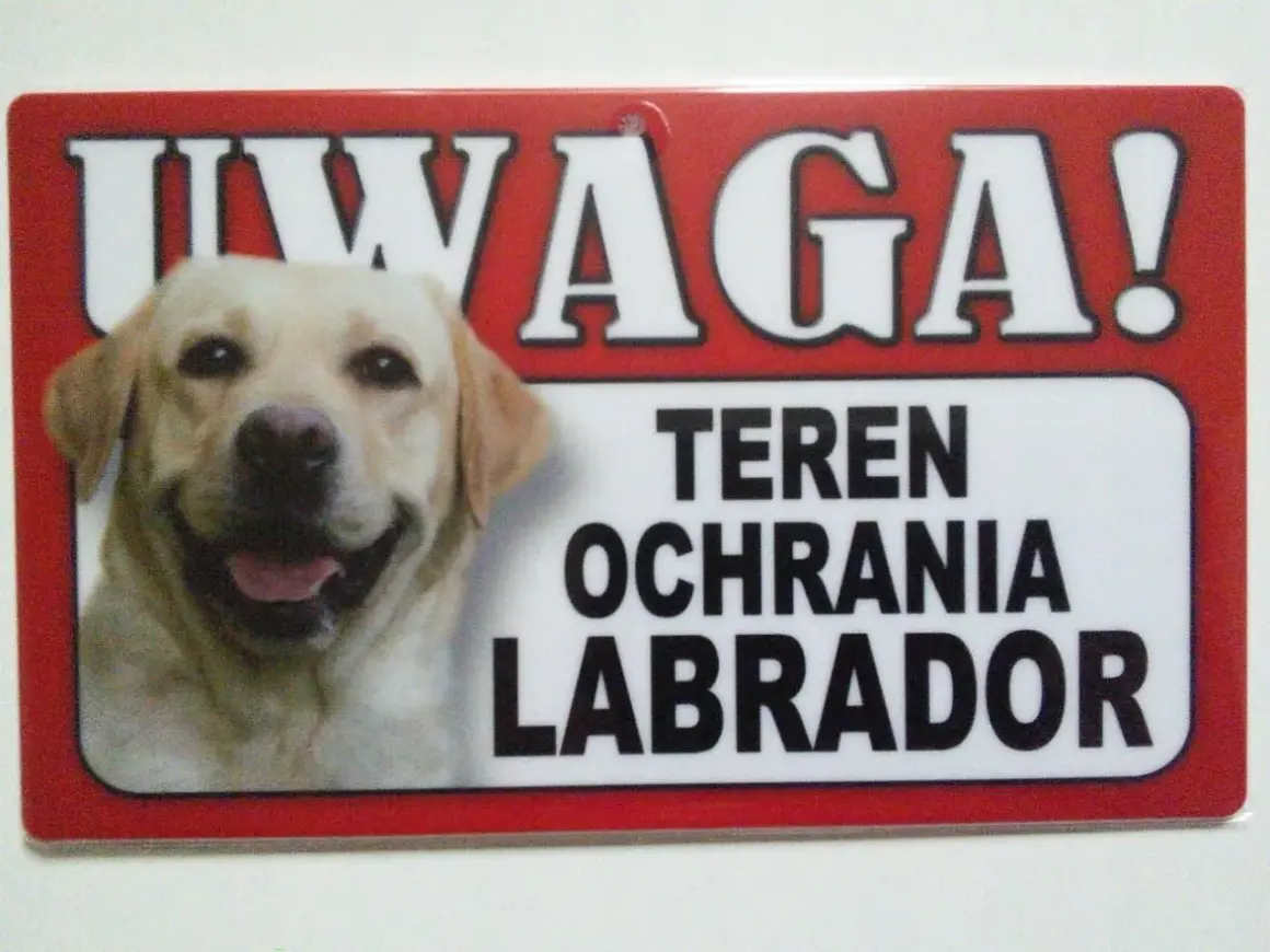 Tabliczka z napisem "UWAGA! TEREN OCHRANIA LABRADOR" i zdjęciem uśmiechniętego labradora.