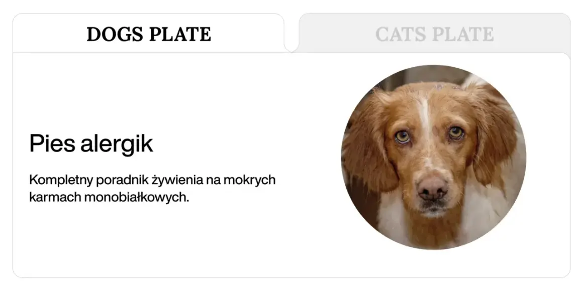Pies alergik: poradnik żywienia na mokrych karmach monobiałkowych. Jaka karma dla psa z alergią skórną?