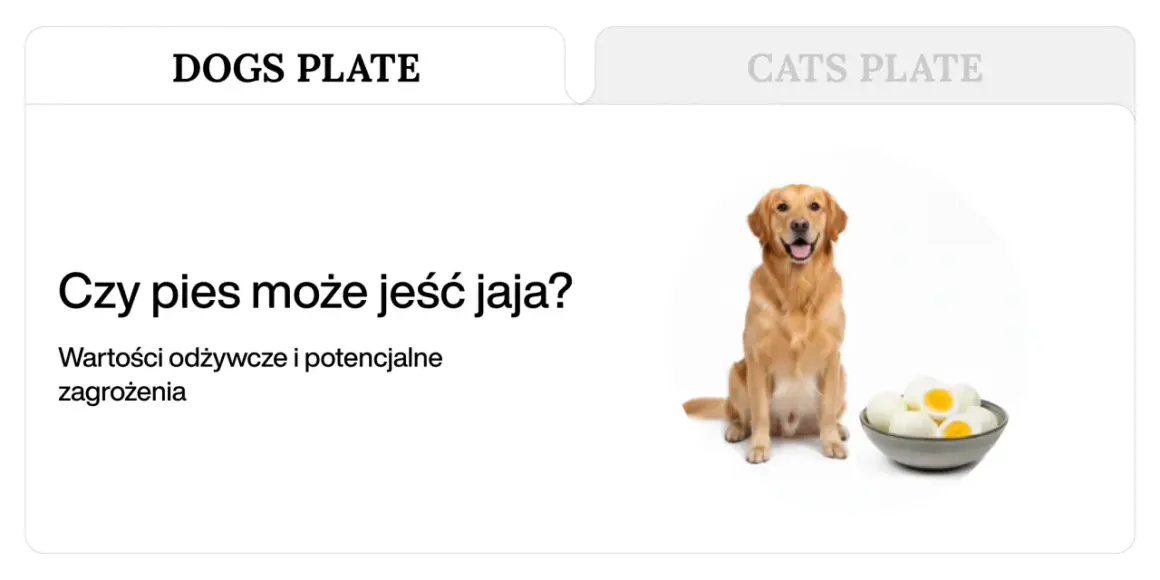 Złoty retriever siedzi obok miski z jajkami na twardo, a tekst pyta: "Czy pies może jeść jaja?".