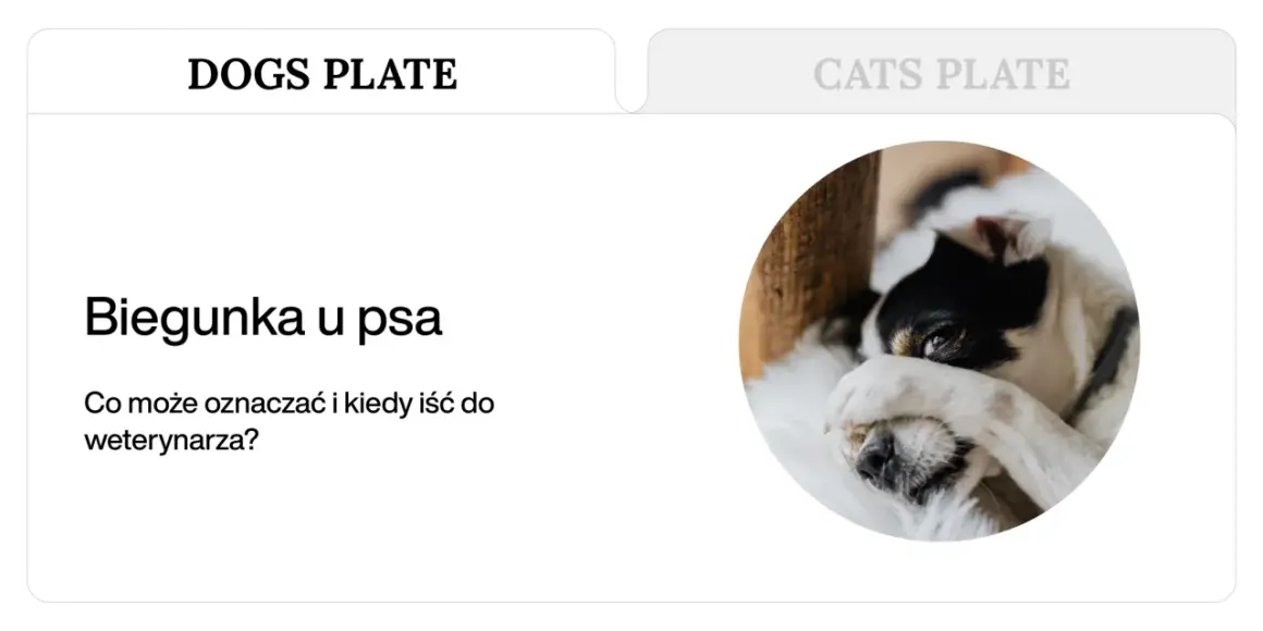 Smutny piesek z biegunką. Dowiedz się, co na biegunkę u szczeniaka i kiedy szukać pomocy weterynarza.