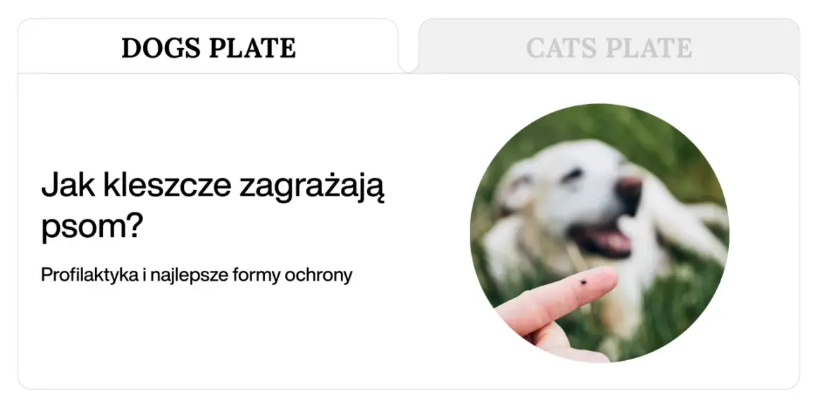 Kleszcz na palcu, w tle rozmyty pies. Dowiedz się, co na kleszcze dla psa jest najskuteczniejsze.