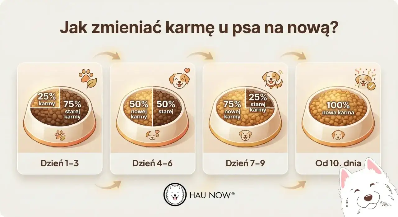 Schemat stopniowej zmiany karmy u psa: od 25% nowej karmy przez 50/50, aż do 100% nowej karmy.