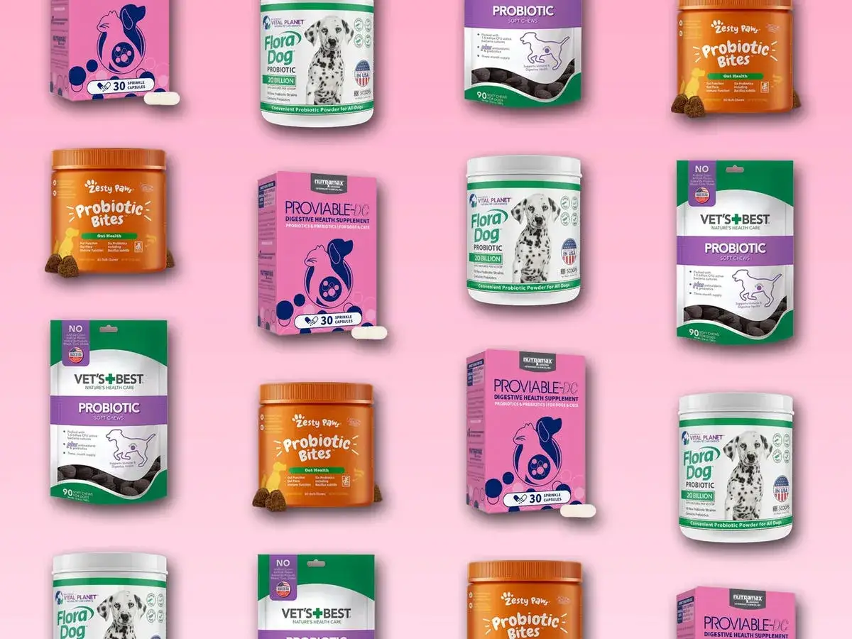 Różne produkty, gdzie kupić probiotyk dla psa: proszek, kapsułki i przysmaki. Zdjęcia opakowań z dalmatyńczykami i psami.