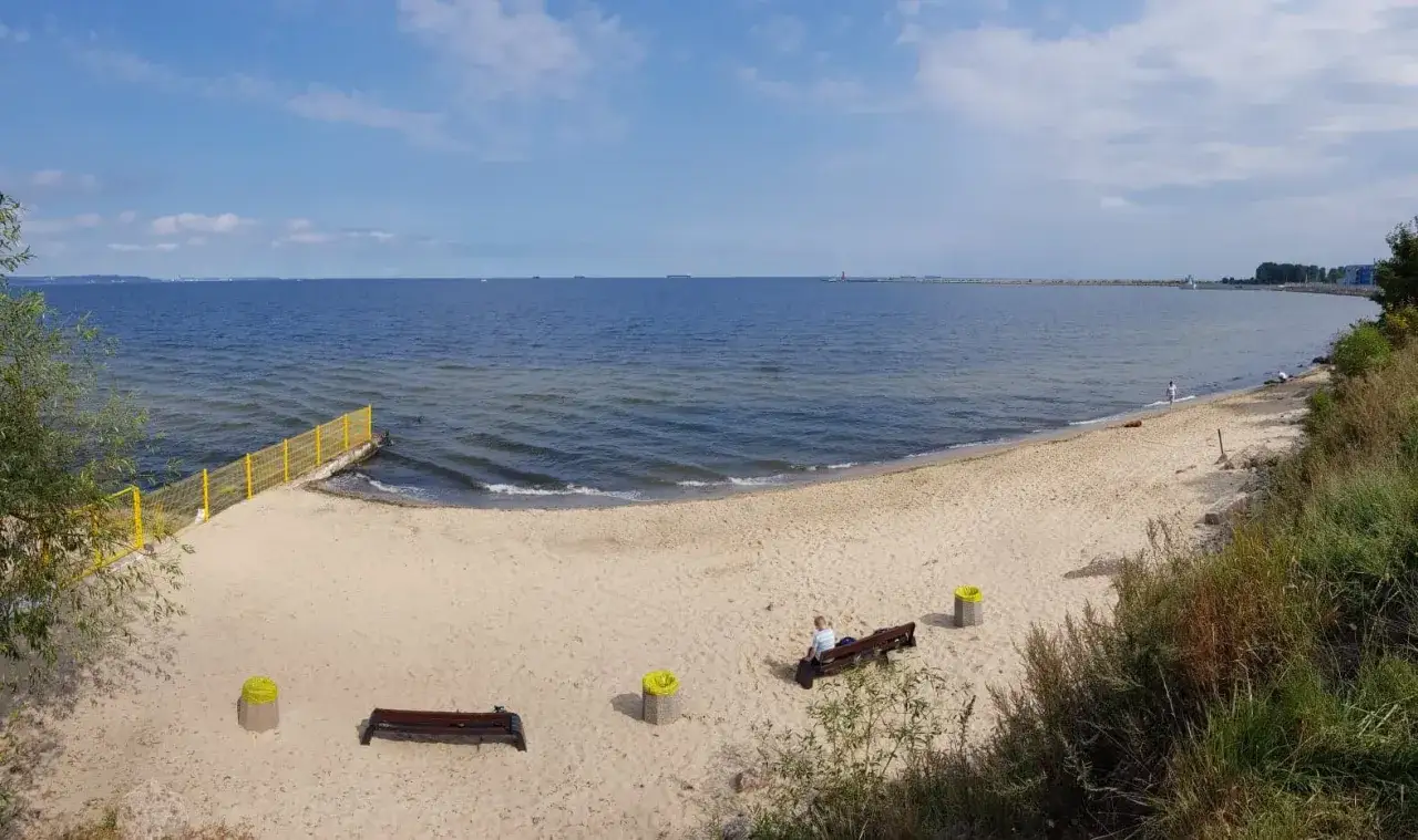 Piękny dzień na plaży w Gdańsku. Idealne miejsce, gdzie z psem na spacer można wybrać się nad morze.
