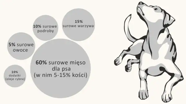Schemat żywienia psa: 60% surowe mięso, 15% warzywa, 10% podroby, 10% dodatki, 5% owoce.